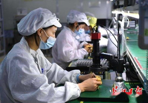 人勤春早 技术服务为春耕注入智慧动能