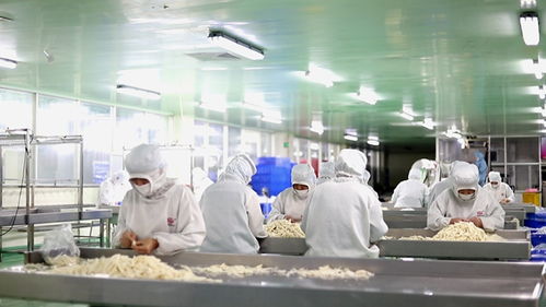诏安速度催生台商方阵 台资水产养殖产业链加速成型